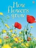 How Flowers Grow