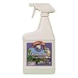 Garlic GP: Ornamental Fungicide 32 oz RTU