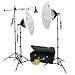 KT900 Three Light 1250w Mini-Boom Lighting Kit
