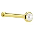 Solid 14KT Yellow Gold 2mm Akoya Pearl Nose Bone - 20 Gauge