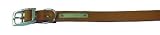 12" 30cm Riveted Dog Collar #1