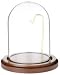 Glass Doll Dome with Walnut Base with Brass Wire - 3