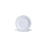 Shade Dinner Plate 10-5/8" - Case = 24