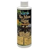 No More Algae for Fountains - 8 oz.