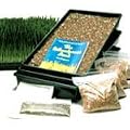 Wheatgrass Juice Kit - Excellent value