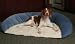 Paus Medium 24 x 34 Basic Pet Bolster in Microfiber