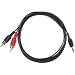 Kitchen & Housewares : Philips USA 6' 3.5mm Stereo Mini To Dual-RCA Y-Cable