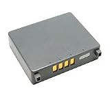 Lenmar LIP303 Panasonic Camcorder Battery