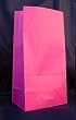 Paper Favor Treat Goody Luau Party Gift Bags - Hot Pink (12 Bags)