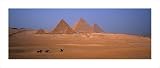 The Pyramids of Egypt poster print,37.8 in. x 16 in.