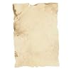 1 St�ck Urkundenpapier A4