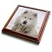 Canadian Eskimo Dog Hudson Bay Churchill Northern Canada - 8x8 Trivet With 6x6 Ceramic Tile