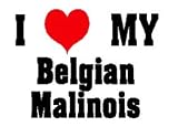I Love/Heart Belgian Malinois Apron