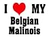 I Love/Heart Belgian Malinois Apron