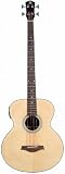 Acoustic Bass Guitars