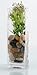 12 Tall Square Glass Vase