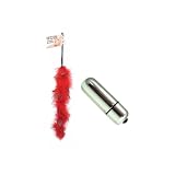 Pipedream Products Fetish Fantasy Series Feather Streamer Red Adult Sex Toy Kit