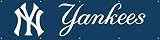 New York Yankees MLB 8Ft x 2Ft BANNER