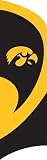 NCAA Iowa Hawkeyes Tall Team Flag W/Pole.