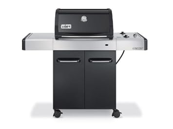 barbecue weber 2 bruleurs