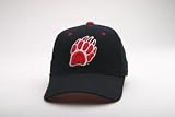 Wisconsin Badgers DHS Logo Mad Bucky Exact Fit Red