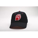 Wisconsin Badgers DHS Logo Mad Bucky Exact Fit Red at Zephyr Graf-X