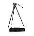 Manfrotto 504HD,536K Video Tripod Kit with 504HD Head and 536 Carbon Fiber Tripod (Black)