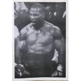 Mike Tyson --- 147-- Poster Size 33 inches by 23 inches