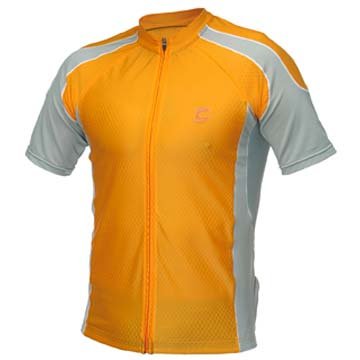 Buy Cannondale Surpass II Jersey, Large, Orange, Mens by Cannondale