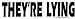 THEY'RE LYING decal bumper sticker