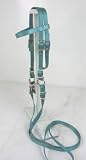 MINIATURE HORSE / SMALL PONY NYLON BRIDLE TEAL