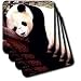 Panda Bear - Set Of 4 Ceramic Tile Coasters