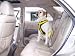 Canine Automotive Restraint, Size: Large