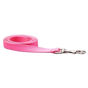 Medium Pink Dog Leash/Nylon Webbing: 3/4