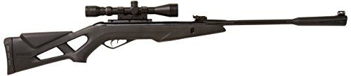 Gamo 611004925554 Silent Stalker .22 Caliber Air Rifle with Scope