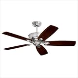 31%2B2mMTv5XL. SL160 