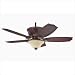 Hunter Fans 28476 Banyan Ceiling Fan in Leather Brown with Tapestry Leather Blades