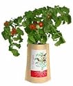 Mini-Tomato Garden-in-a-Bag