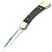 Buck 110 Folding Hunter, Lockback Folding Knife