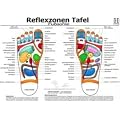 Fussreflexzonen Tafel. Fusssohle. DIN A3