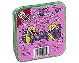 C & S Products Raisin Treat Suet - 11.75 Ounce