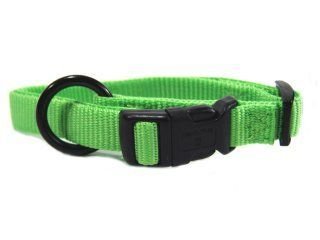 12-18IN SM ADJ DOG COLLAR LIME – 5/8 X12-18 – Lime