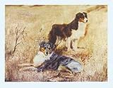 Aussies in Bracken Notecards