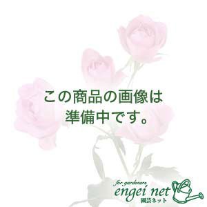 フラワーラックFR-2の替えカバー[ビニール温室になる花鉢シェルフ]