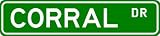 CORRAL Street Name Sign ~ Personalized Family Lastname Sign ~ Ga...