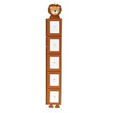  : Lion Growth Chart