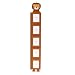 Kitchen & Housewares : Lion Growth Chart