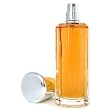 Calvin Klein Escape Eau De Parfum Spray - 100ml/3.3oz