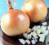 Stuttgarter Yellow Onion Set 100 Bulbs - Sweet Taste