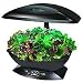 Outdoor Living : Black AeroGarden Unit With Gourmet Herb Seed Kit in 4-Color Box